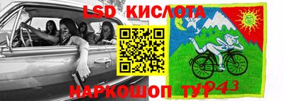 спайс Кунгур